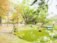 青衣公園
