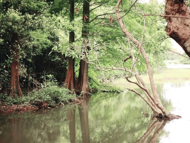 流水響郊遊徑