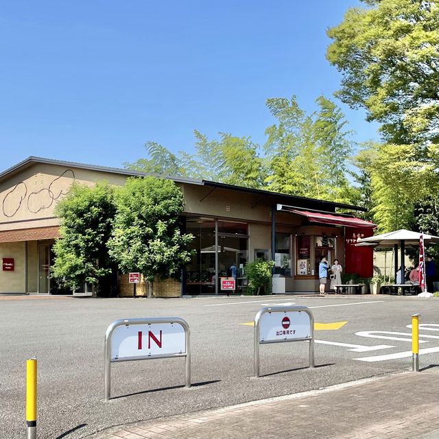 杉山のぐり茶か、市川のぐり茶か