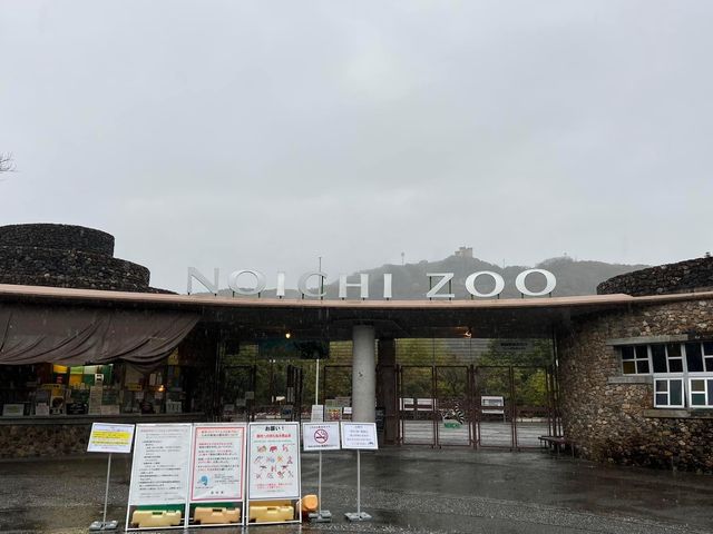 日本第一位動物園｜高知縣立野市動物園
