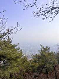 등산 한번도 안해봤어도 정상까지 갈 수 있어요! 인천 계양산✨