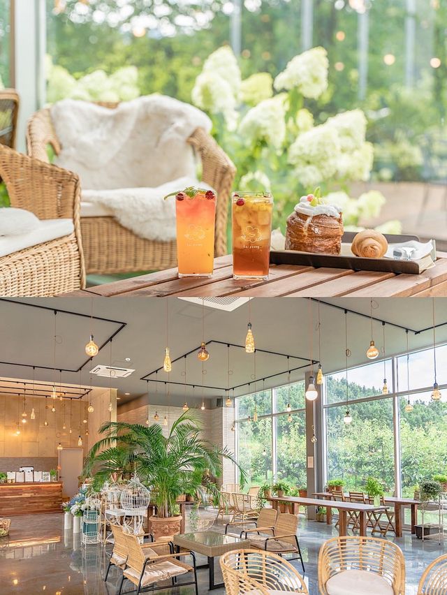 서울 근교 유럽수국+능소화+대형피크닉 스팟 카페🧡 