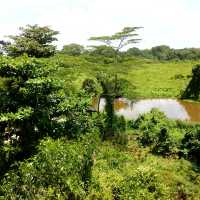 Serene Kranji Marshes