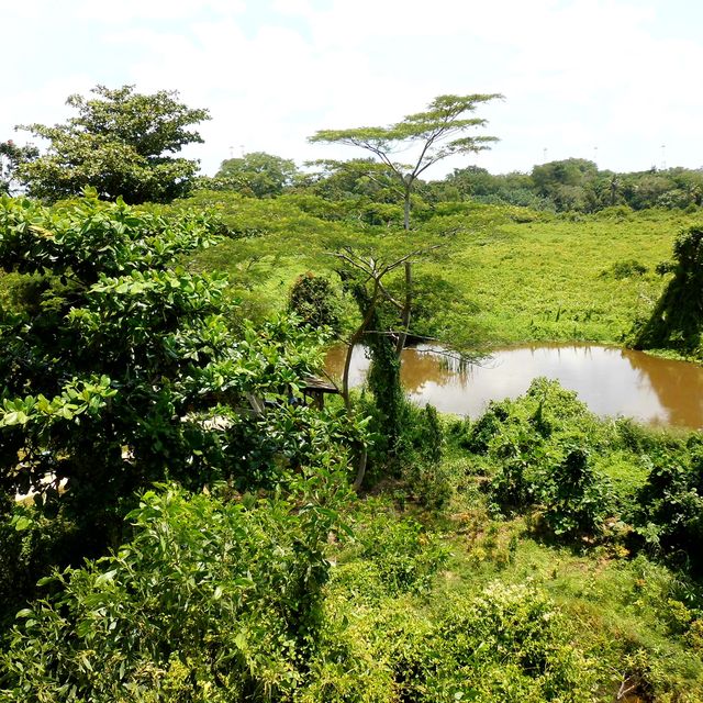 Serene Kranji Marshes