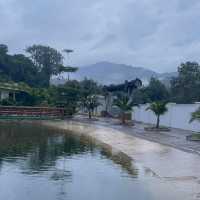 Short Nature gateway