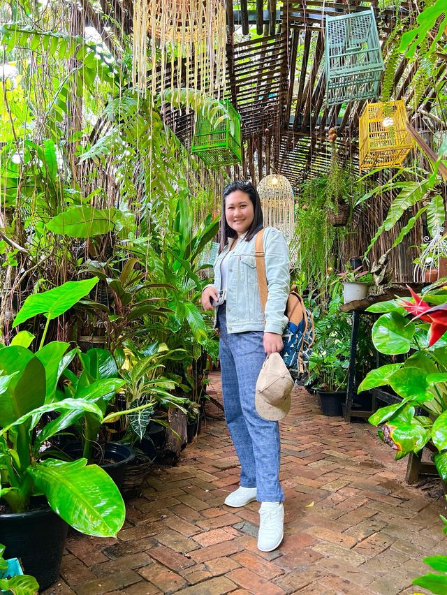 บ้านต้นไม้ คาเฟ่ The Tree House Café 