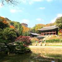 Autumn @Gyeongbokgung Palace 