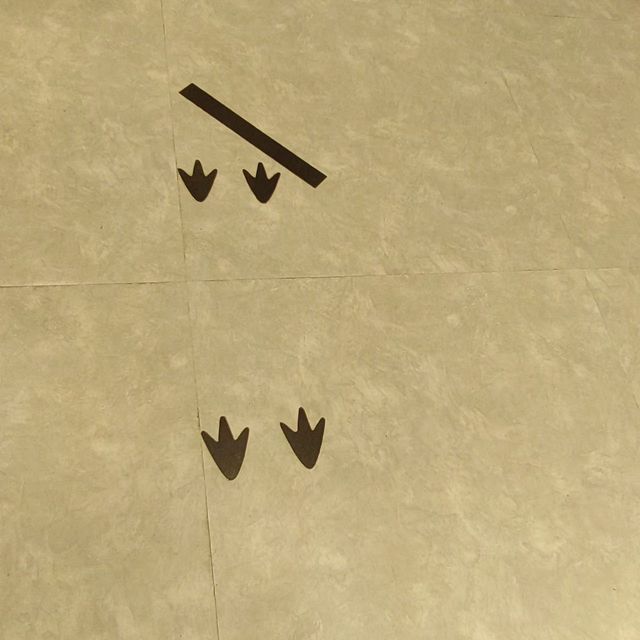 カレーパンをもとめて〜ペンギンベーカリー〜