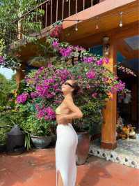 Cat Ba Island 🏝️ 