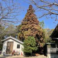 【兵庫県】2022年3月にオープンした絶景カフェ＆ショップ