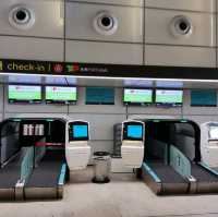 Nice Airport