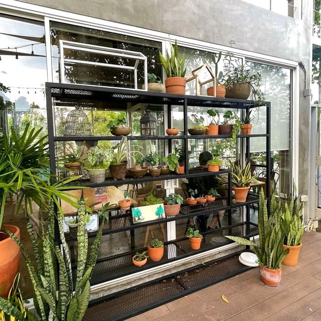 ☕คาเฟ่ที่ไม่ลับ มีมุมน้ำตกที่ให้เด็กลงเดินได้🏝