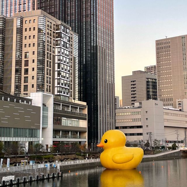 【大阪府】世界を旅するアヒルさんが今年も大阪へ！！
