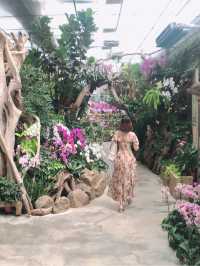 卓蘭山林間的花卉園區 花露農場 Flower Home