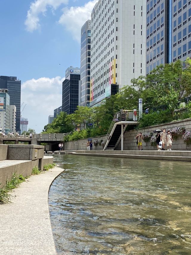 여름에는 청계천에서 탁족을☀️💦