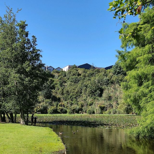 Relaxing walk at Lake Te Koo Utu