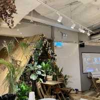 《🌲清新森林系cafe☕️🌳》
