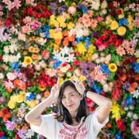 โชคดีคาเฟ่