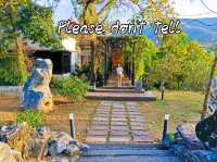 please don't tell | คาเฟ่เขาใหญ่​ 