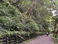 礁溪｜抹茶山 聖母登山步道 朝聖之旅 