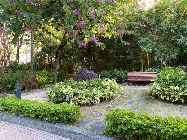 鳥語花香｜荔枝角公園