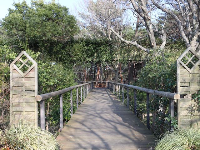 【茨城】国営ひたち海浜公園のレストハウス