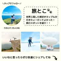 瀬戸内海に浮かぶ『直島』に行くならココ‼️7選！