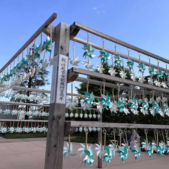 【埼玉】写真映えする！川越氷川神社