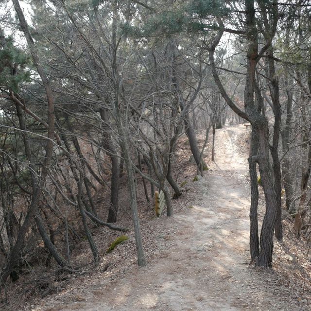 대전 우성이산 등산 
