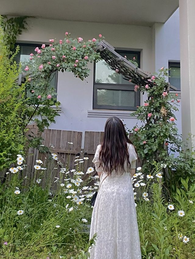 영국 왕실에서 티파티하는 영애가 될 수 있는곳🫖