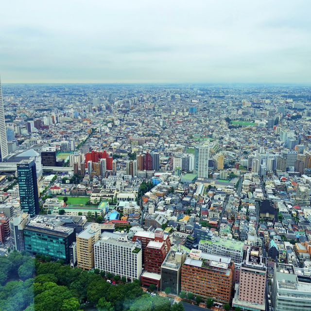 👍 도쿄시내를 한눈에 내려보는, 도쿄도청전망대