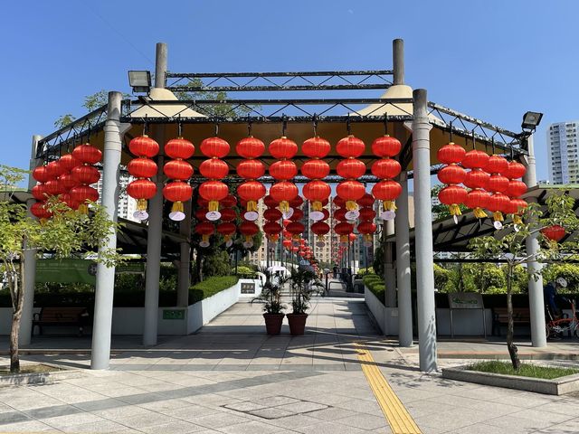 沙田景點-沙田公園