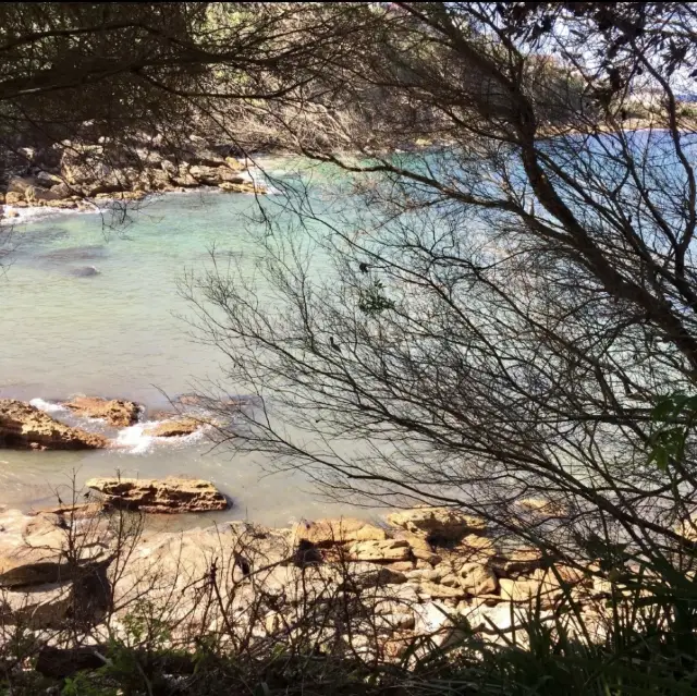 Sydney Coastal Walks