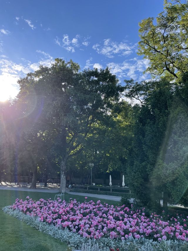 아름다운 베른, 장미공원🌹