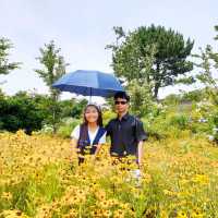 Maze Land in Jeju