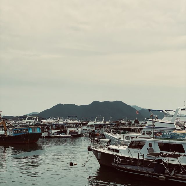 西貢碼頭愜意酒吧The Picture House 🍾️🥂下午至傍晚美妙時光