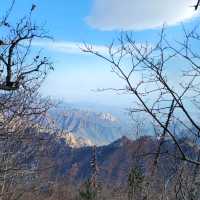 Jungcheong Shelter View