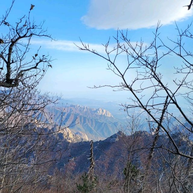 Jungcheong Shelter View