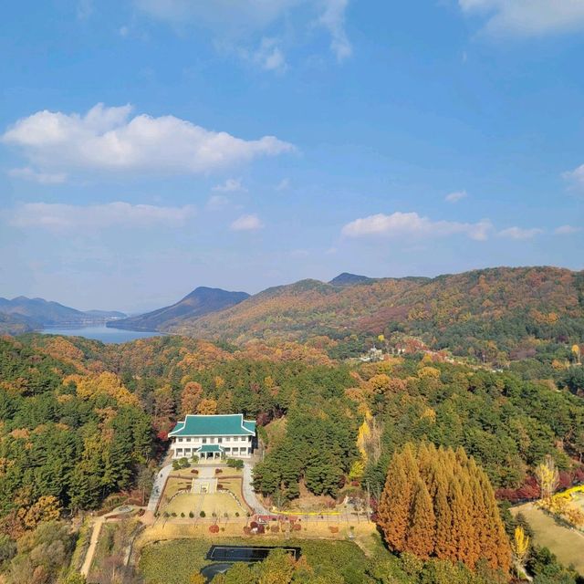 청남대 오각정 길