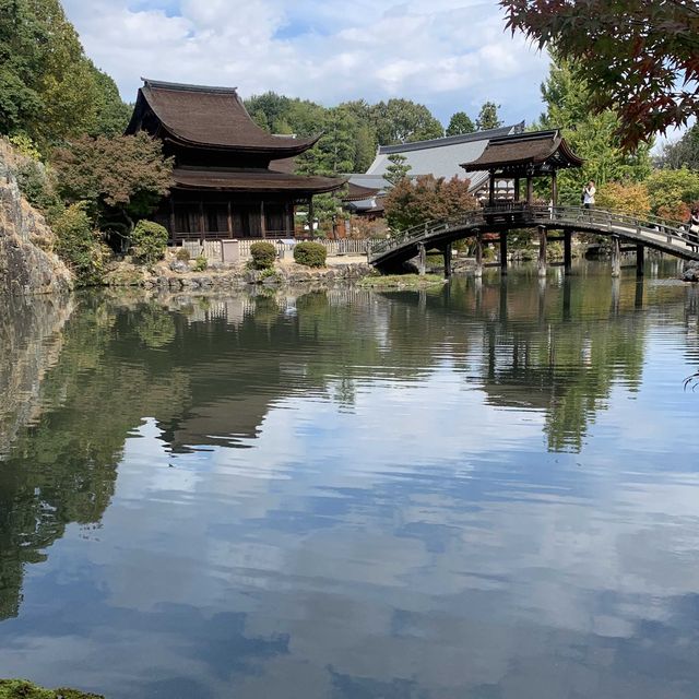 きれいな庭園と国宝の建物、土岐川を望む事も出来る歴史ある禅寺