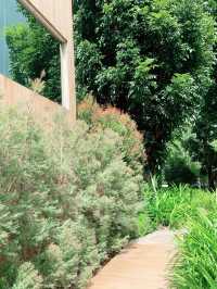 เที่ยวคาเฟ่เขาใหญ่  "Khaam"
