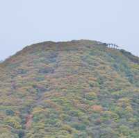 紅葉の榛名湖