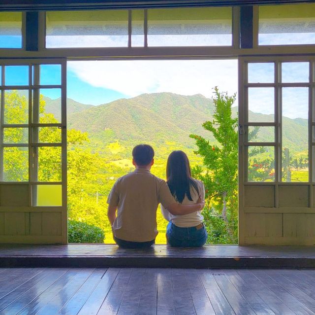 하동 녹차밭 카페, 매암제다원