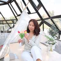 Tim Tim Cafe คาเฟ่ชิคๆ ที่วังสะพุง จ.เลย