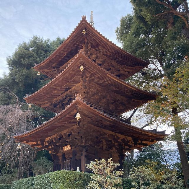 【東京】ホテル椿山荘の見応えある庭園