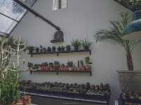 คาเฟ่ฟีลดีเหมือนนั่งเล่นบ้านเพื่อน