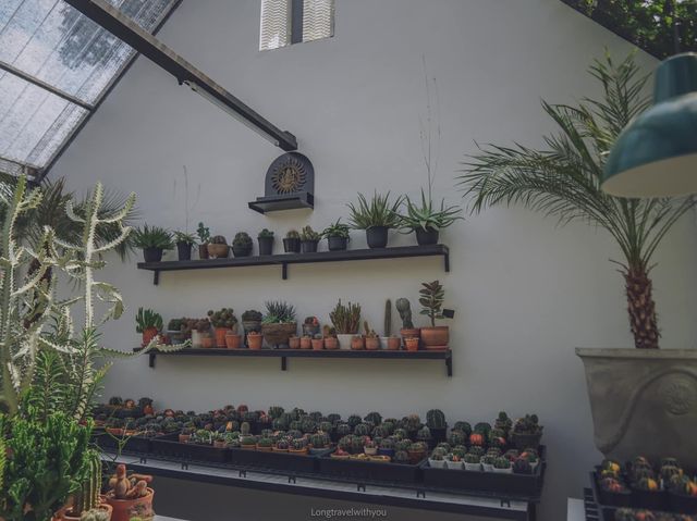 คาเฟ่ฟีลดีเหมือนนั่งเล่นบ้านเพื่อน