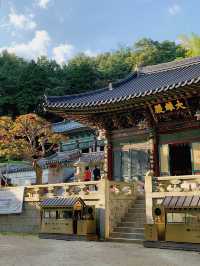 폭포가 흐르는 寺
