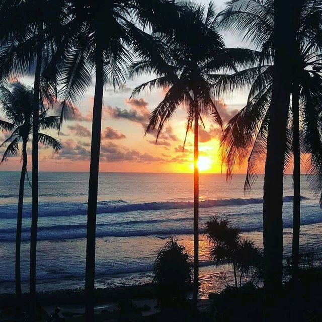 pantai gigi hiu