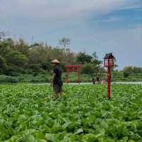 KALINAMPU NATURAL PARK - YOGYAKARTA